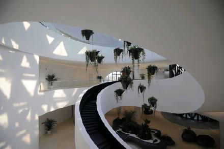 独角兽|成都天府新区“独角兽岛”启动区有望3月开放