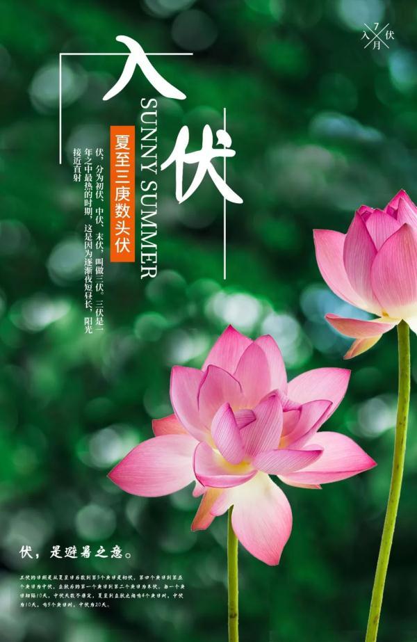 头伏|今日入伏！除了吃饺子，这些禁忌您都知道吗？