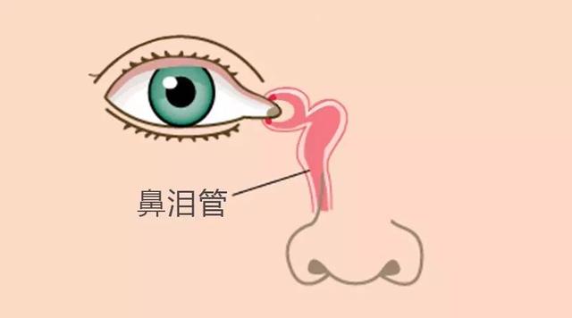 氧氟沙星滴眼液、妥布霉素滴眼液，儿童能用吗？