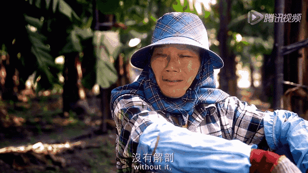 「暖先生格调」“给我打回去!” 3岁儿子被小朋友踢头,妈妈的举动引起无数人争论!