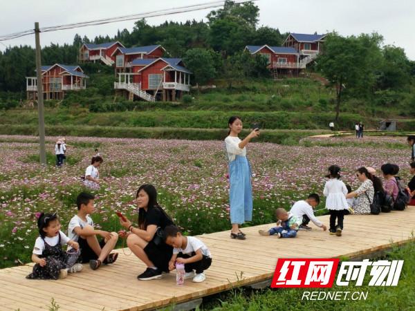 【红网】泸溪：开往小康的“电商快车”