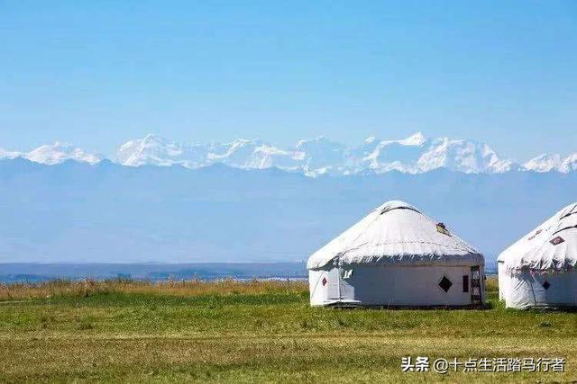 『旅行柚子君』旅行日记——昭苏大草原