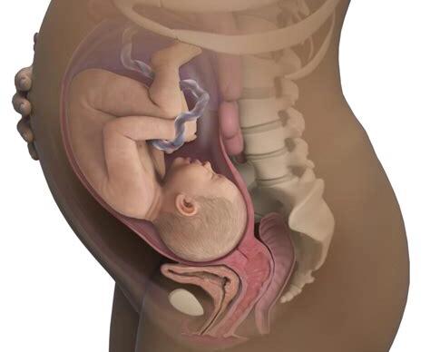 「你的育儿经」非常详细！送给新手妈妈最好的7次产检流程，请收藏