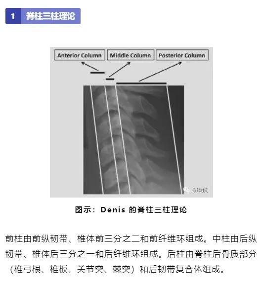 影像经验！脊柱的 13 个影像学特征