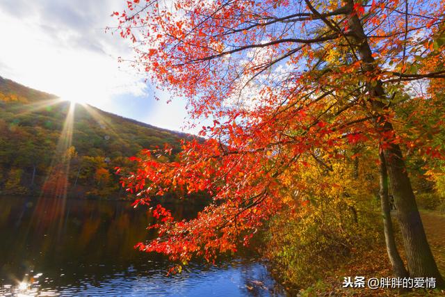 顺境珍惜，逆境改变；与其浪费精力抱怨，不如珍惜时间努力