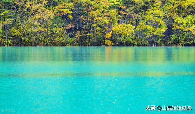 荒芜人烟的野草，看着美丽的花朵