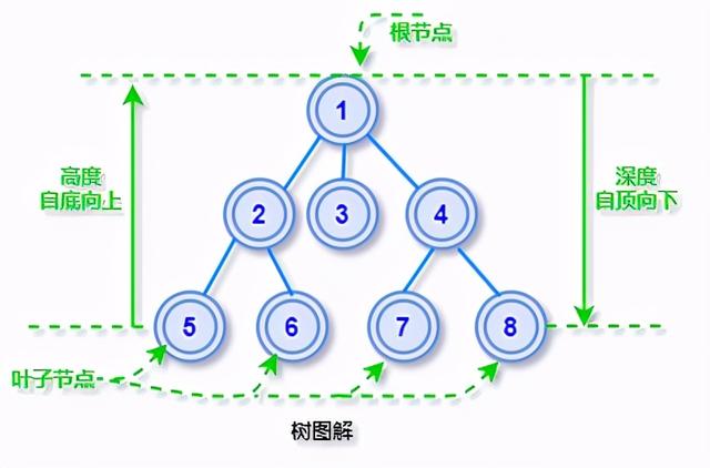 图解：数据结构中的6种「树」，你心中有数吗？