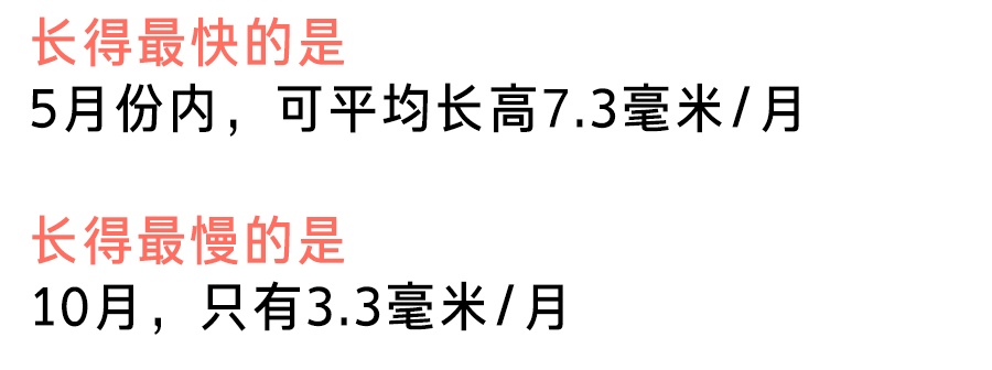 「细雨微凉」春季长高“双倍速”！抓住这3点，让娃猛蹿几厘米！