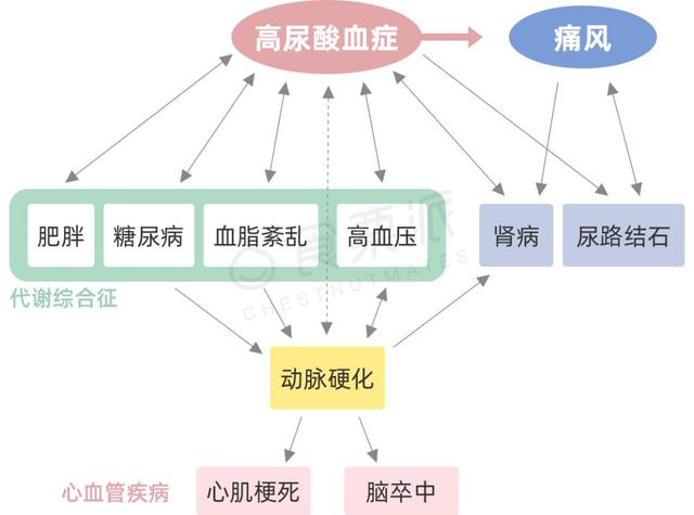 吃什么能降尿酸？权威指导来了