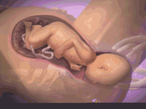 你的育儿经：孕妈头胎半小时超快顺产，只因孕期做了这4件事，生娃如借东风
