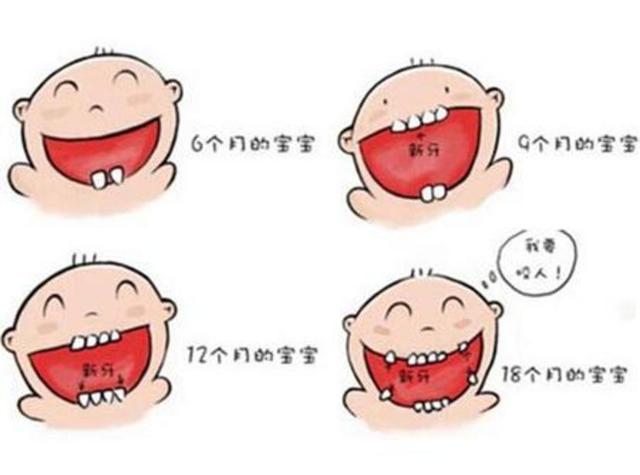 「你的育儿经」宗医生，宝宝乳牙什么时候才算长齐？