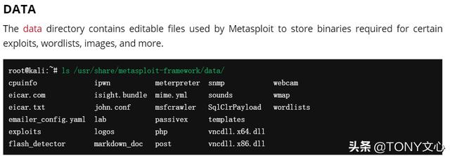 Metasploit体系结构及模块介绍(msf详解)