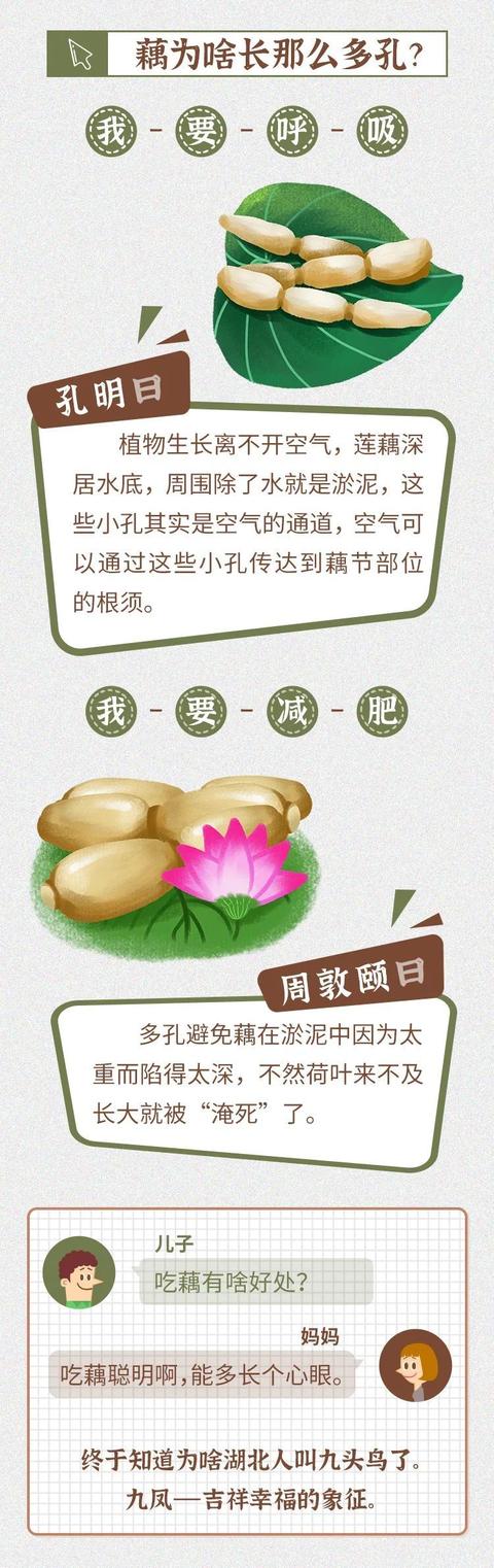 藕汤|小年夜，和家人一起喝藕汤吧