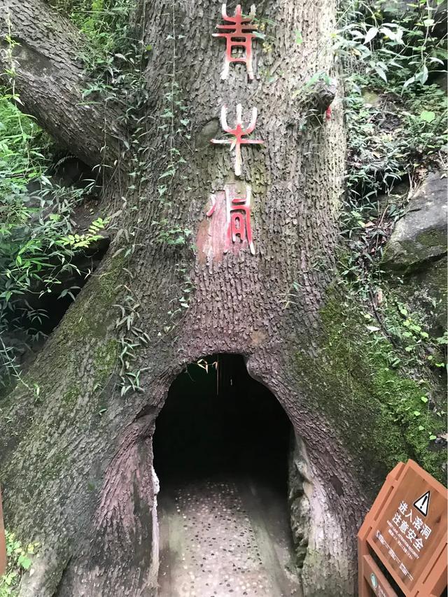 云飞洞幽道深深～河南西峡老君洞