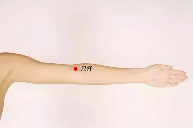 这一跪，降血压，调失眠，骨刺也好了