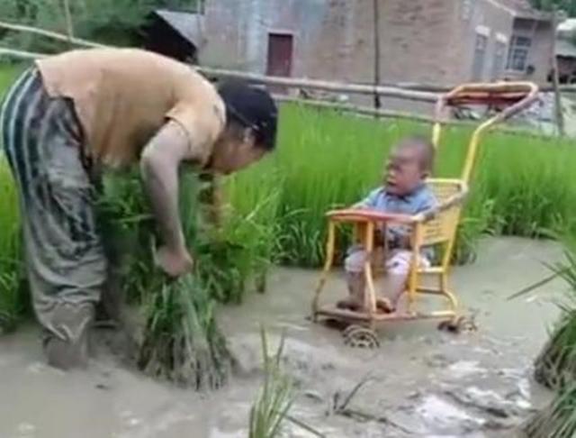 逗比大家庭|全职妈妈带娃做农活，一边种水稻一边哄娃，网友：为母则刚