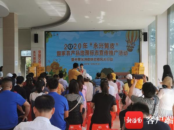南海网海口市秀英区消费扶贫春风大行动开展“永兴黄皮”地标推广