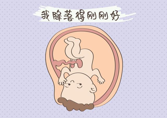 麦芽糖|入盆的感觉是怎样？是尿不完还是走不动？宝妈：道不尽的辛酸