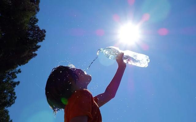 阳气|立夏煲这两种汤，整个夏季都保持健康