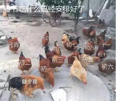 海南|舌尖上的海南春节，这些美食习俗你get了吗？