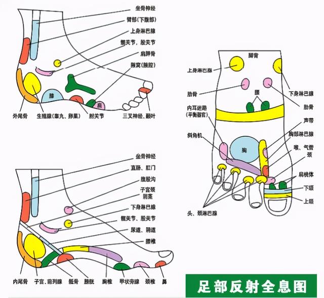 通经络强体魄，1招轻松调五脏