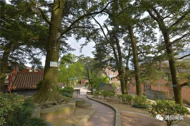 旅行百事通■国家级森林乡村！闽侯有5个村庄上榜