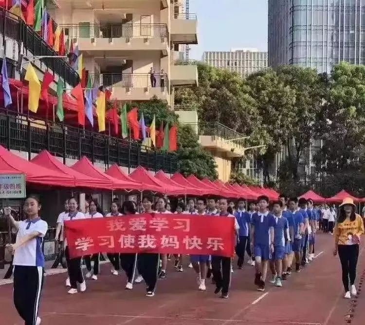 「夏以乔木」妈妈给厌学儿子的信看哭无数人:读书很苦, 但不读书更苦