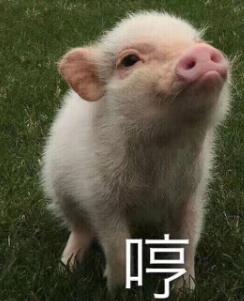 超级宝妈■爆笑！疫情期间，大型亲情翻车现场，哈哈哈