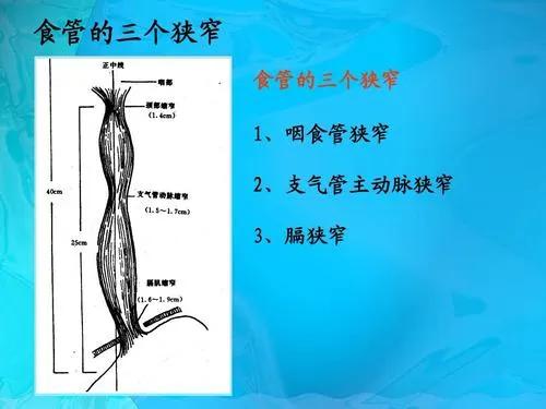 吃火锅一时爽，天天吃可要小心“烫”出来的食管癌