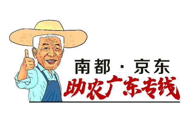 『南方都市报』上线11天卖出50吨马蹄，助农广东专线造爆款，后续还有尖货