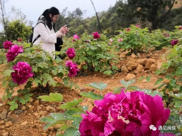 旅行百事通■国家级森林乡村！闽侯有5个村庄上榜