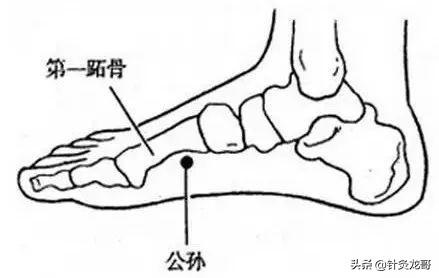 十二正经上的八脉交会穴通于奇经八脉，是灵龟八法的基础穴位