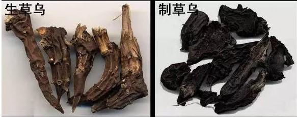 药酒|丽水男子喝自制“药酒”，一杯下肚后心脏骤停，这些药酒别乱喝