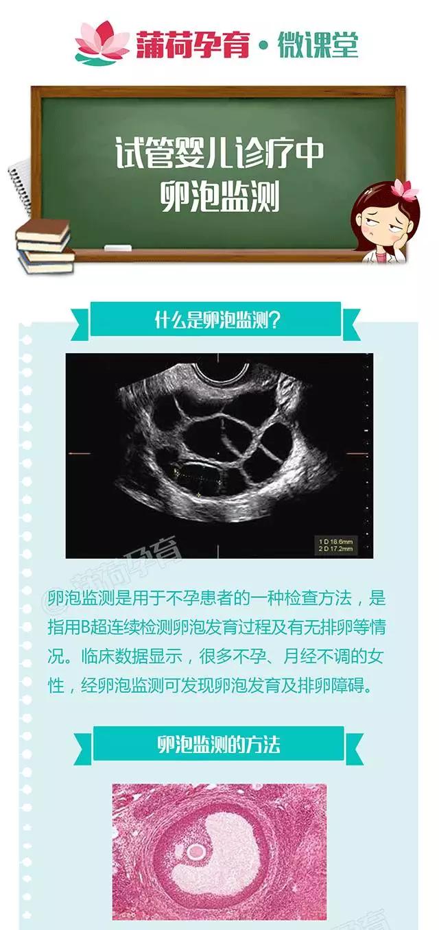 超级宝妈■「医图表」分享一个能直观看到我们卵子发育的“神器”