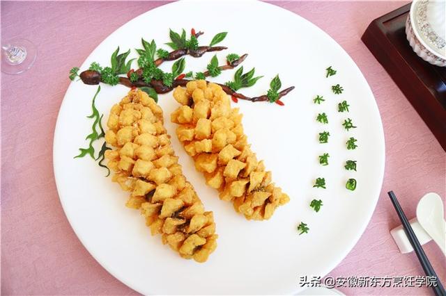 「你的育儿经」文凭和技能哪个更重要，又该如何选择？