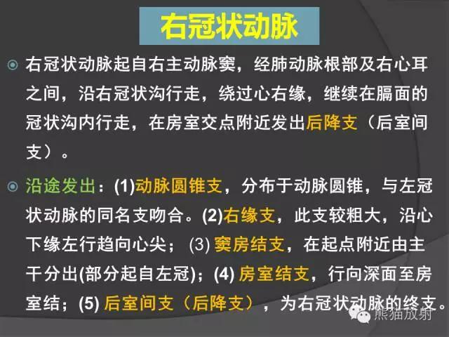 冠状动脉系统解剖、CTA解剖、分段及中英文名称对照