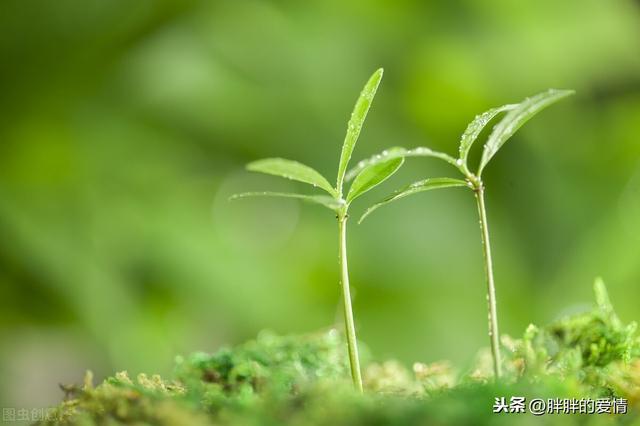 人生没有白费的努力，也没有凑巧的成功；坚持，是生命的一种毅力