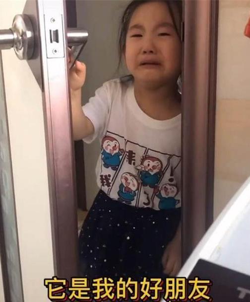 你的育儿经■“我和它是朋友”，妈妈把女儿养的鱼红烧了，女儿边哭边说：真香