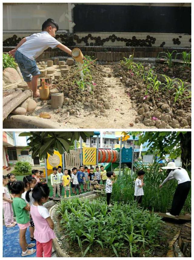 烟雨琴殇|四会市城中街道下布幼儿园招生啦！欢迎报名~