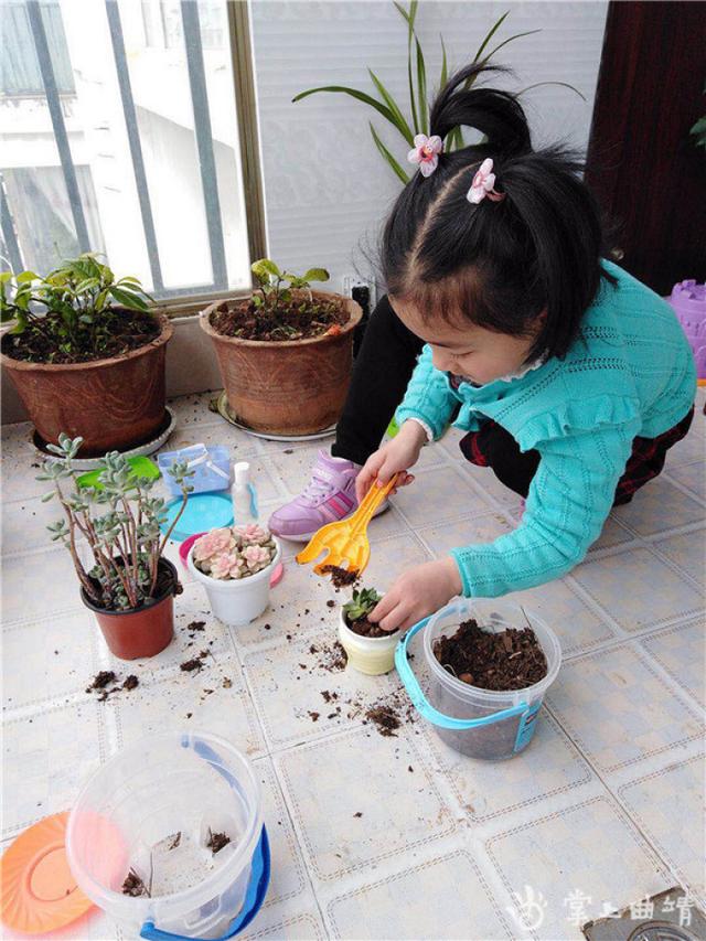 超级宝妈■停学不停学！会泽县第一幼儿园这样做
