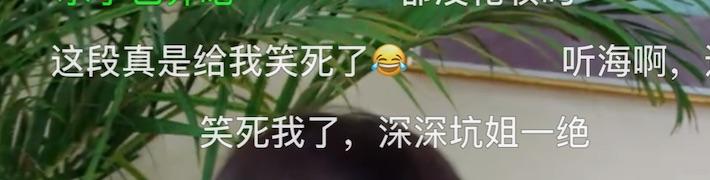 肆无忌惮的美|贾玲杨迪加周深，这是什么爆笑综艺啊