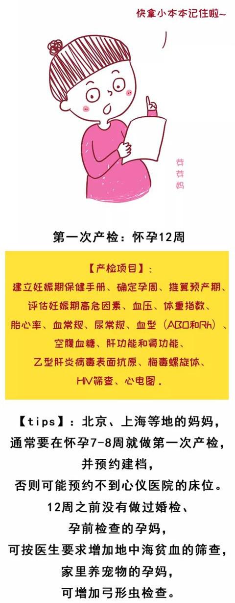 『你的育儿经』从怀孕到卸货不可错过的13次产检，看完一篇统统记清