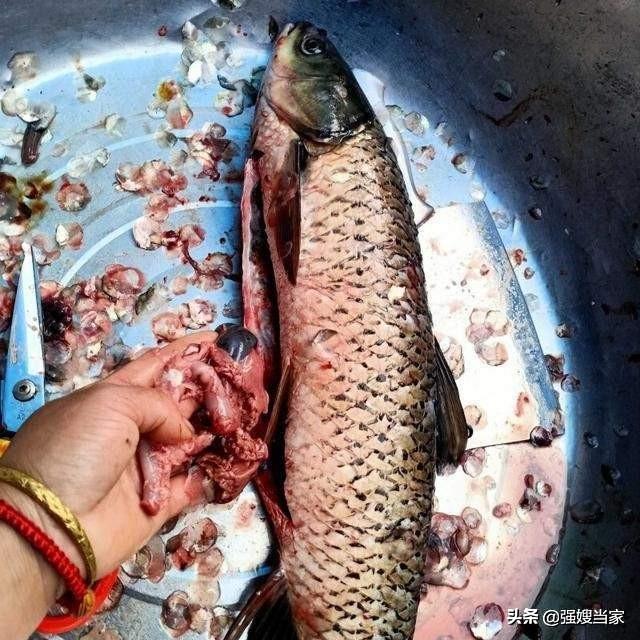 没地方熏腊鱼，试试酱油腊鱼，易学易做，色泽红亮，比熏鱼还好吃