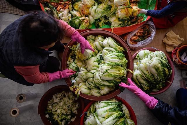 「图集」越冬仪式感，韩国家庭腌制泡菜