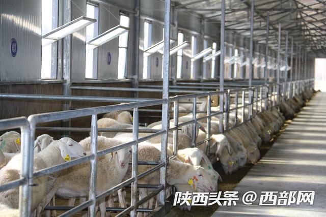 文化|榆阳区GDP首破1000亿元 六项主要经济指标增速榆林第一