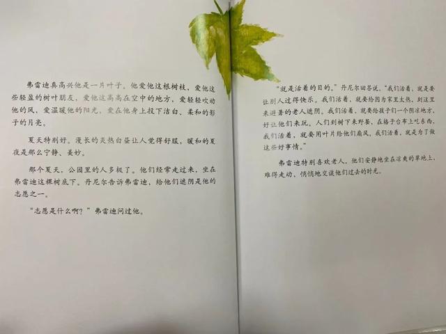 『上观新闻』家里的自然课(二十五)︱从自然绘本中读出生命存在的意义