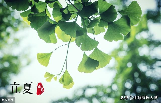 [你的育儿经]明天立夏 | 挂鸡蛋、称体重，立夏习俗讲给孩子听，涨知识！