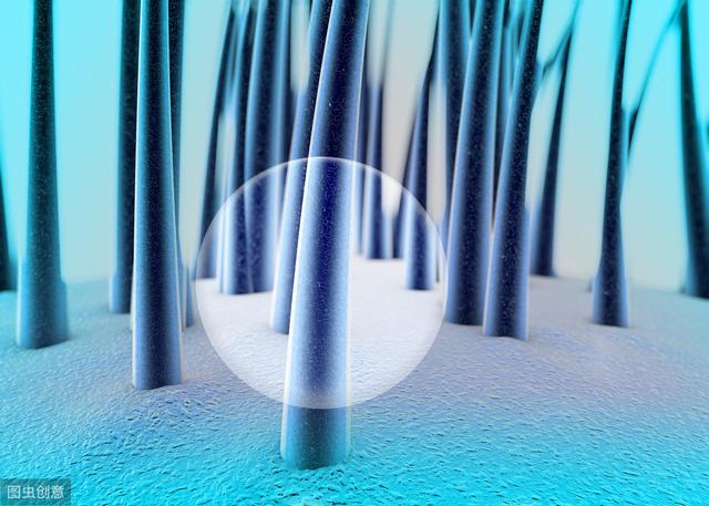 据医生说，你身体“毛发”状况预示着你的健康水平