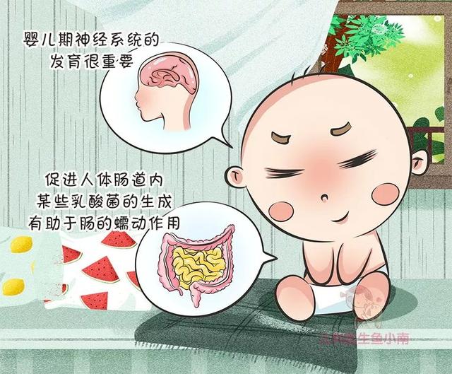 [超级宝妈]选奶粉，先学会看标签，超详细专有名词解读让你一文读懂