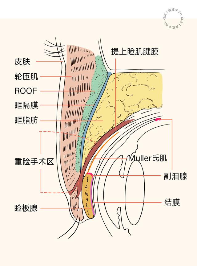 薛红宇医生就咸某、郝某与张某某侵犯其名誉权的正式声明